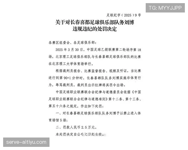 辱骂裁判的判罚规则详解：处罚标准与执行流程解析